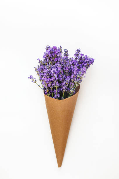 istock lavender flowers bouquet in parchment paper cone on a white isolated background. Copy space. Flat lay. Minimalism 1160395626
