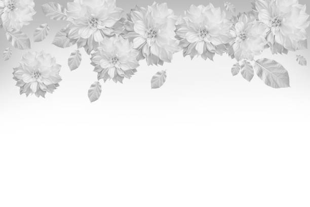 Monochrom sensor series. Flowers