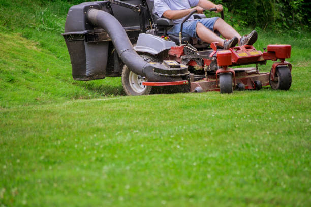 istock Gardener mowing the lawn cutting grass with gardening tools 1160399573