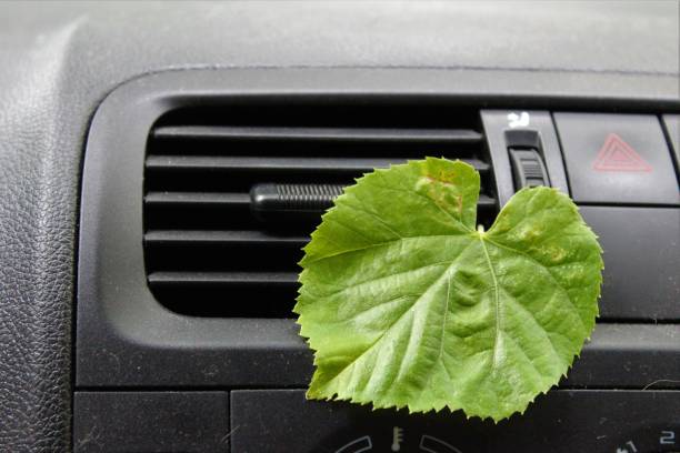 istock Green leaf in the car. 1160402456