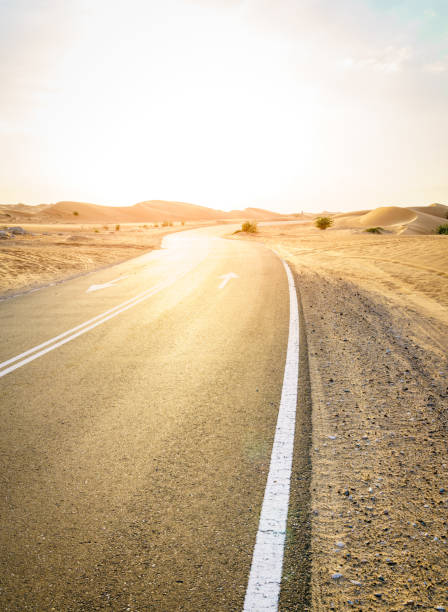 istock Desert road in the Middle East 1160404768