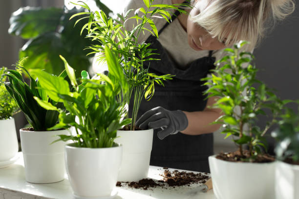 istock Blonde tender gardener 1160405962