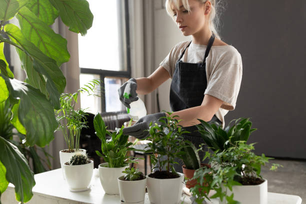 istock Beautiful female with plant 1160406343