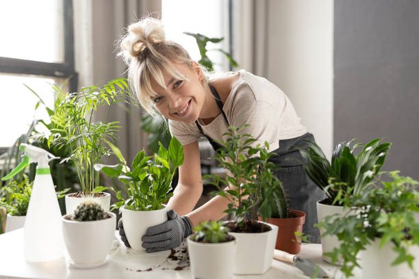 istock Smiling woman with plants 1160407701