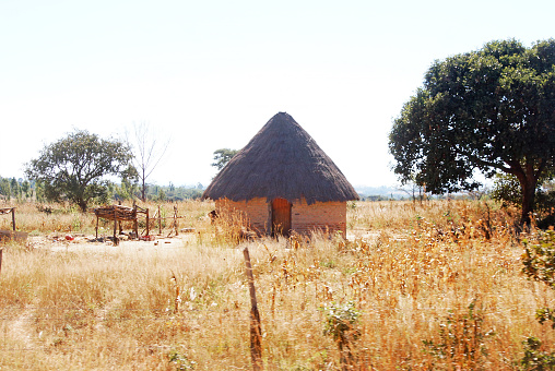 a typical hut of the Shona people in Zimbabwe, among yellow grasses