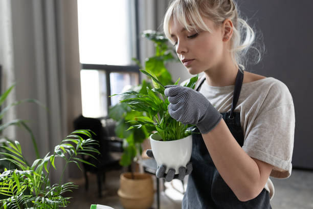 Concentrated woman with plant