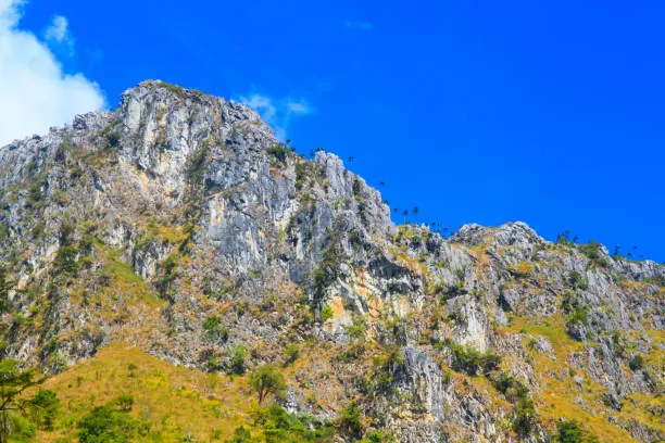 Photo of Beautiful Landscape of rocky Limestone Mountain and green forest with blu sky at Chiang doa national park in Chiangmai, Thailand