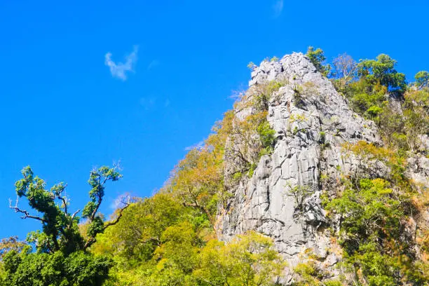 Photo of Beautiful Landscape of rocky Limestone Mountain and green forest with blu sky at Chiang doa national park in Chiangmai, Thailand