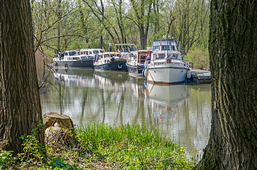 Dordrecht, The Netherlands, April 7, 2019: small yachts moored at a wooden jetty in a small creek in Biesbosch national park