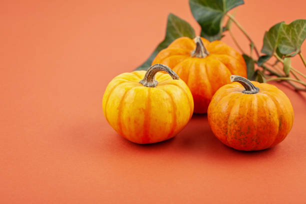 istock Pumpkins and leaves over pastel background, copy space 1160410589