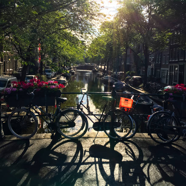 Sunrise on Amsterdam town canal and parked bicycles The sun is rising on an Amsterdam town canal, casting shadows of parked bicycles at the Jordaan quarter. jordaan amsterdam stock pictures, royalty-free photos & images