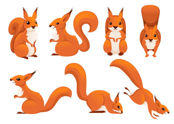 귀여운 만화 다람쥐 세트입니다. 재미 작은 갈색 다람쥐 컬렉션입니다. 감정 작은 동물입니다. 만화 동물 캐릭터 디자인입니다. 흰색 배경에서 격리된 플랫 벡터 그림 - 다람쥐 stock illustrations