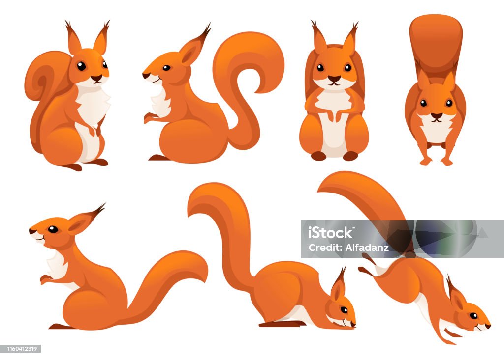 Cute Cartoon Squirrel Set Funny Little Brown Squirrel Collection Emotion  Little Animal Cartoon Animal Character Design Flat Vector Illustration  Isolated On White Background Stock Illustration - Download Image Now -  iStock