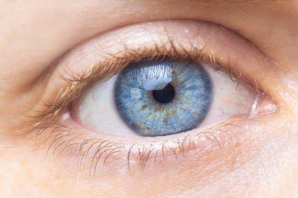 istock Beautiful blue woman eye close up. Macro. 1160413002