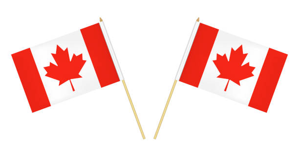 흰색 배경, 벡터 그림에 격리 된 두 개의 캐나다 플래그입니다. 극에 캐나다의 국기 - canadian flag canada canada day flag stock illustrations