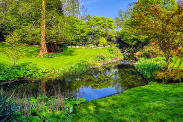 Hyde Park in London, UK Spring in Hyde Park located in Central London, UK. hyde park flowers stock pictures, royalty-free photos & images