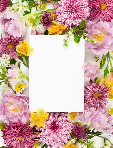 Beautiful pink flowers on white background. Flowers composition. Summer floral concept. Flat lay, copy space.