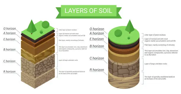 Vector illustration of Education isometric diagram and detailed description of soil layers. Plant residue, green grass, fine mineral particles, sand,clay, humus and stones vector illustration.