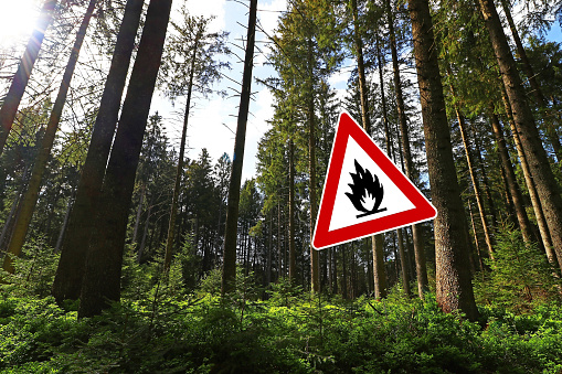 Beware of forest fires in dry weather. Fire hazard in summer in forest areas