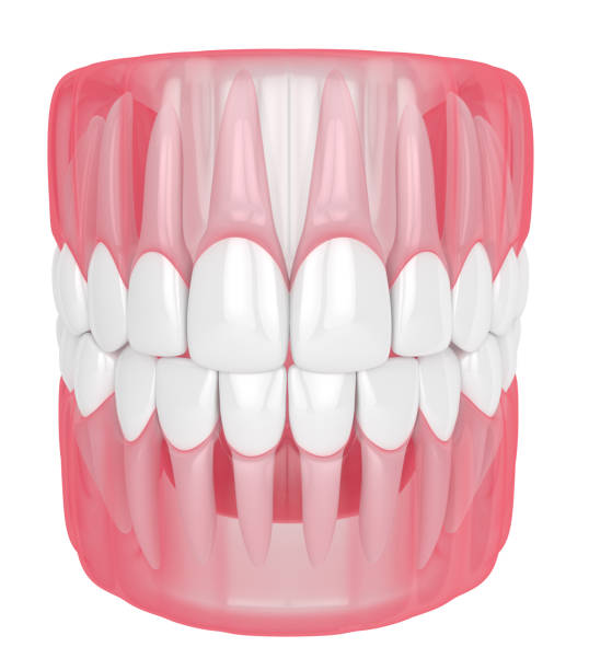 istock 3d render of jaw with teeth over white 1160424801