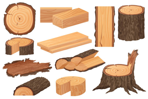 illustrazioni stock, clip art, cartoni animati e icone di tendenza di materie prime per l'industria del legno. campioni di produzione vettoriale realistici e dettagliati. tronco d'albero, tronchi, tronchi, assi di legno, ceppi, ramo di legname, ramoscelli. - corteccia di legno