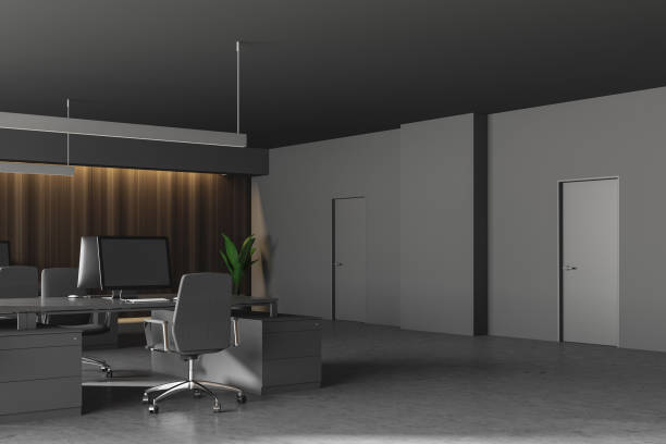 istock Modern grey office interior with furniture. 1160428134