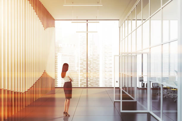istock Business woman in panoramic office lobby 1160428969