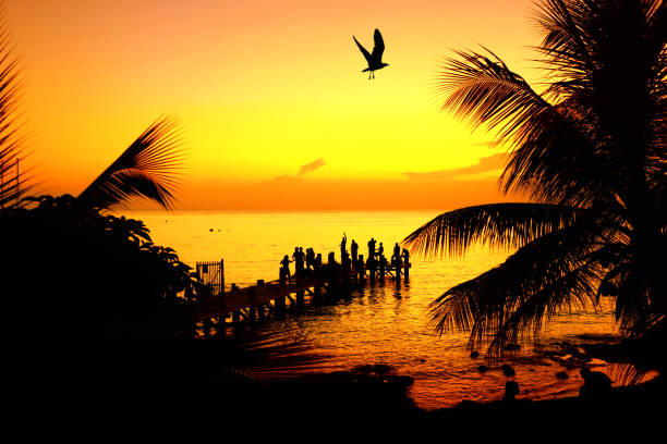 Silhouetted people dancing and having fun on beach with palm trees over orange colored seascape and sunset sky in Cozumel, Mexico