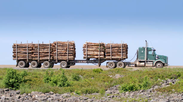 목재 공장에 세미 트럭 운반 로그 - lumber industry truck truck driver log 뉴스 사진 이미지