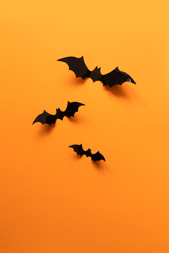 Halloween holiday concept with paper black bats. Flat lay of accessory decoration