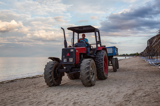 Playa Ancon, Trinidad, Cuba - June 1, 2019: Tractor and workers are picking up seaweeds from the shore of the beach during a cloudy morning sunrise.