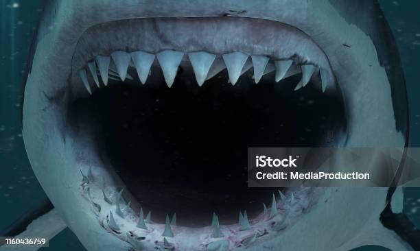 Shark Attack Stock Photo - Download Image Now - Shark, Great White Shark, Violence