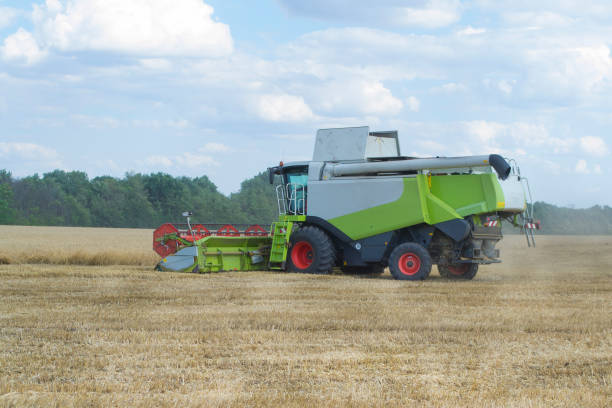 istock Harvesting wheat and barley modern combine. 1160437376