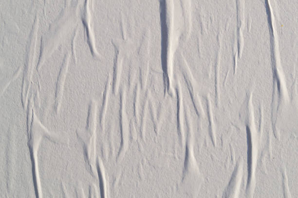 White creased poster texture. Abstract background.
