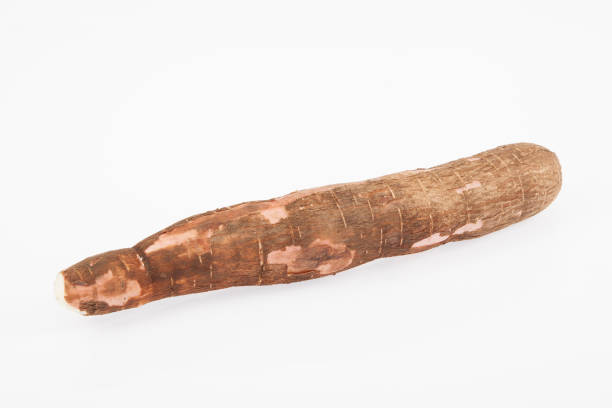 istock Raw yucca on white background-Manihot esculenta. (Cassava raw tuber) 1160438227