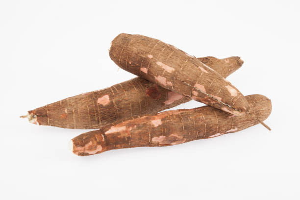 istock Raw yucca on white background-Manihot esculenta. (Cassava raw tuber) 1160438367