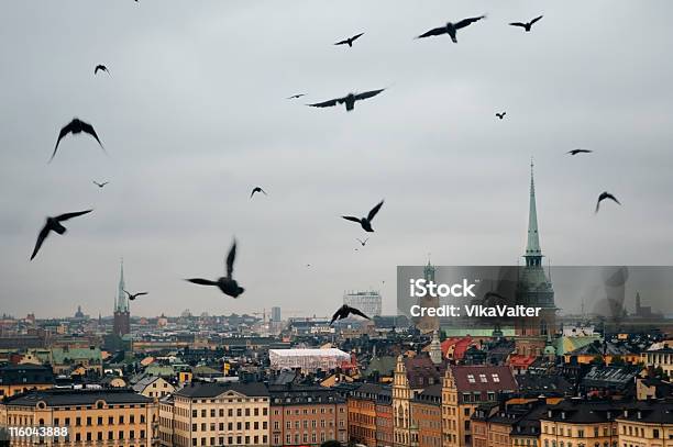 Crows - zdjęcia stockowe i więcej obrazów Horror - Horror, Sztokholm, Upiorny