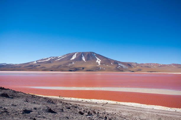 istock Laguna Colorada view, Bolivia 1160443987