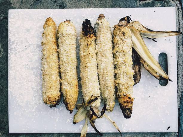 Quickly Eaten Fresh Ears of Organic Grilled White Corn Summer treat of grilled ears of organic white corn. Quickly eaten but still photo worthy. corn cob eaten stock pictures, royalty-free photos & images