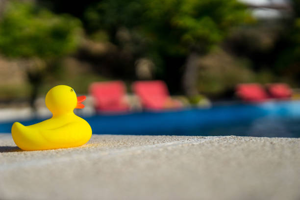 istock rubber-duck and swimmingpool 1160450169