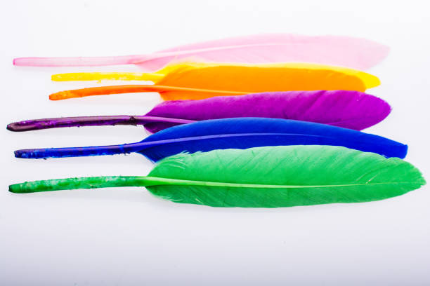 istock Studio shot photo colored bird feathers as texture background 1160454023