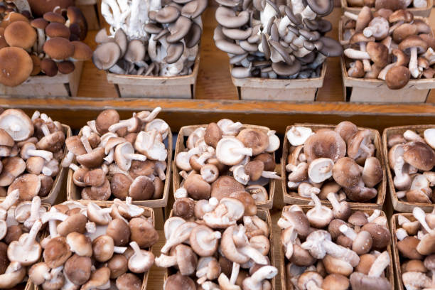 istock Pike Place Market Hand Picked Fresh Mushrooms 1160454866