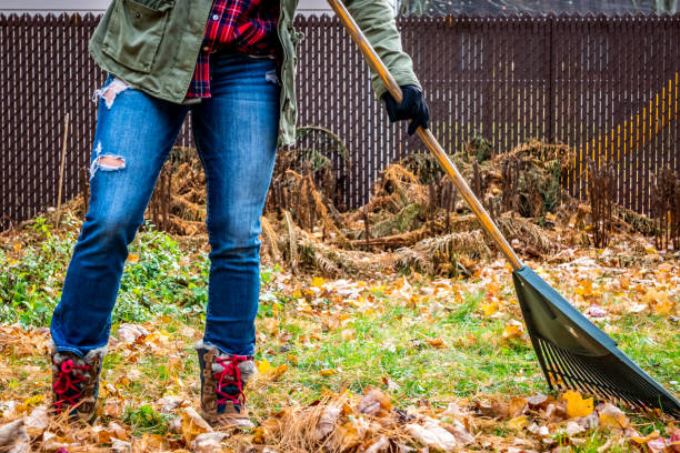 istock Woman raking her yard during autumn. 1160457360