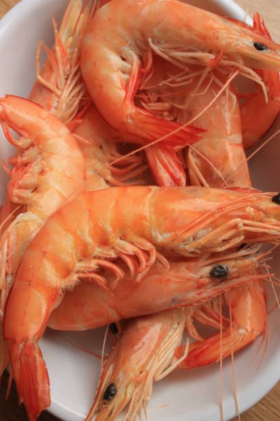 istock Shrimp cooked in water on a plate 1160457409