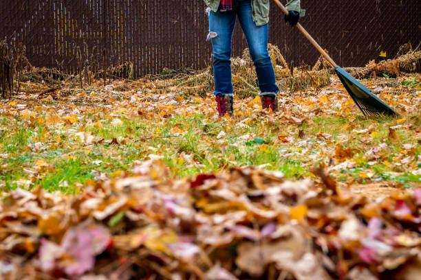 istock Woman raking her yard during autumn. 1160457432