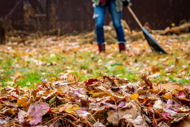 istock Woman raking her yard during autumn. 1160457444