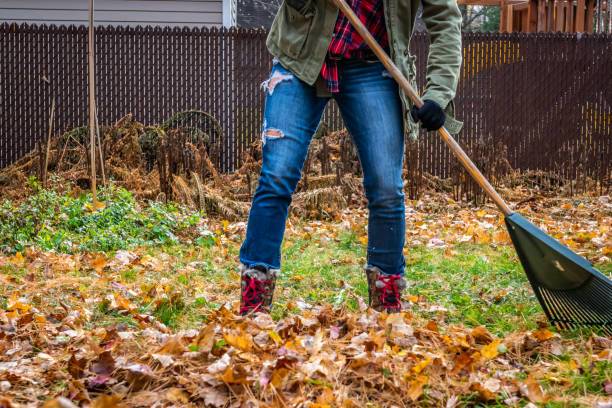 istock Woman raking her yard during autumn. 1160457454