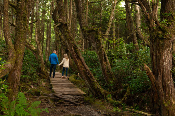 istock Loving couple bonding in nature 1160460400