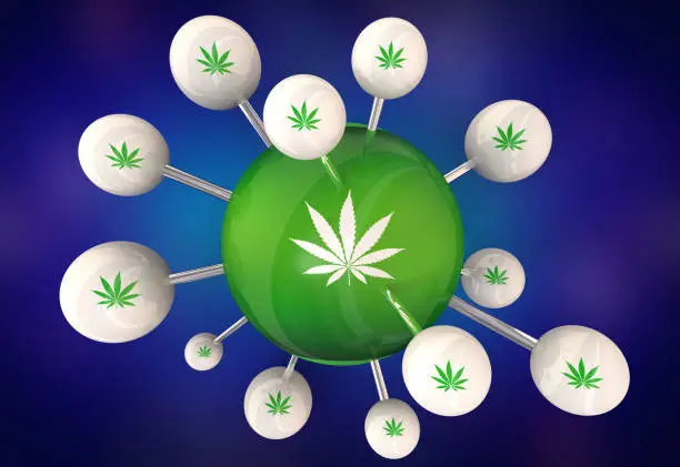 Marijuana Canabis Weed Pot Connection Network Buy Dealers 3d Illustration