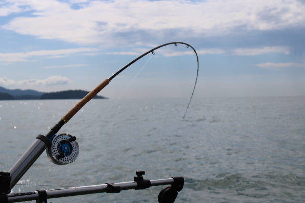 Deep sea fishing Boat fishing in Gibson british Columbia big game fishing stock pictures, royalty-free photos & images